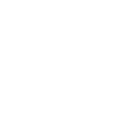 Institucije